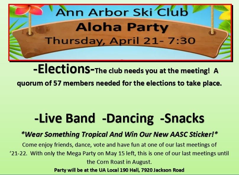 Aloha Party Flyer